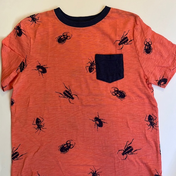 Gap Kids Short Sleeve T-shirt Bugs and Beetles Boys Large Like New - Picture 1 of 7